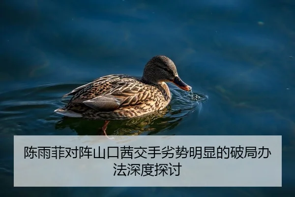 陈雨菲对阵山口茜交手劣势明显的破局办法深度探讨